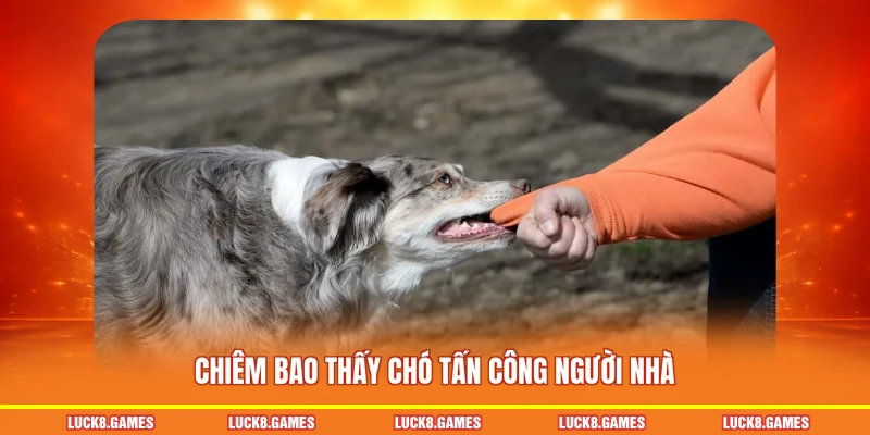 Chiêm bao thấy chó tấn công người nhà